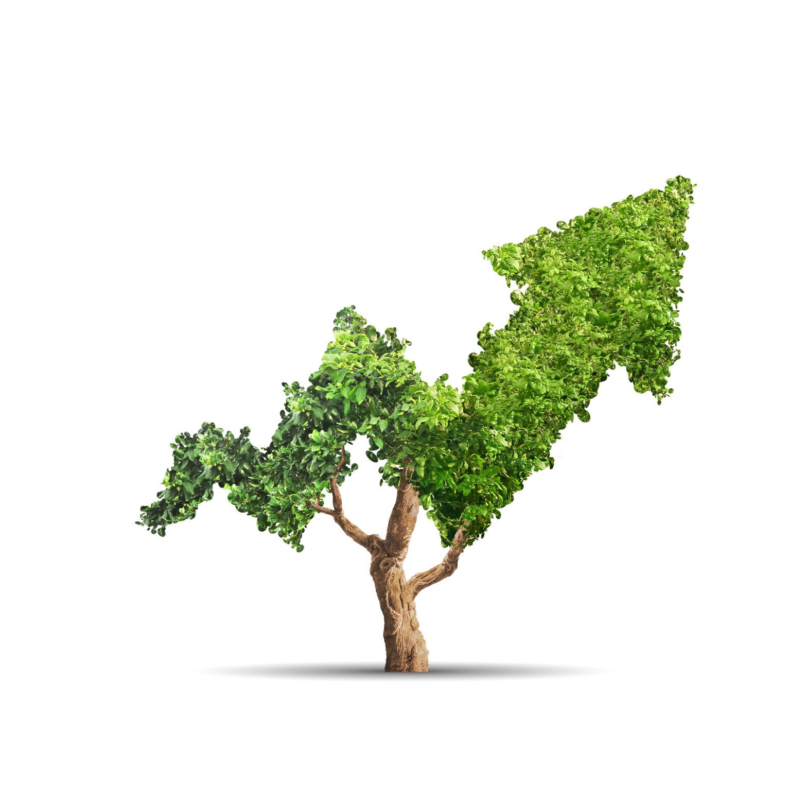 Franklin Templeton offers actively-managed Euro green bond ETF