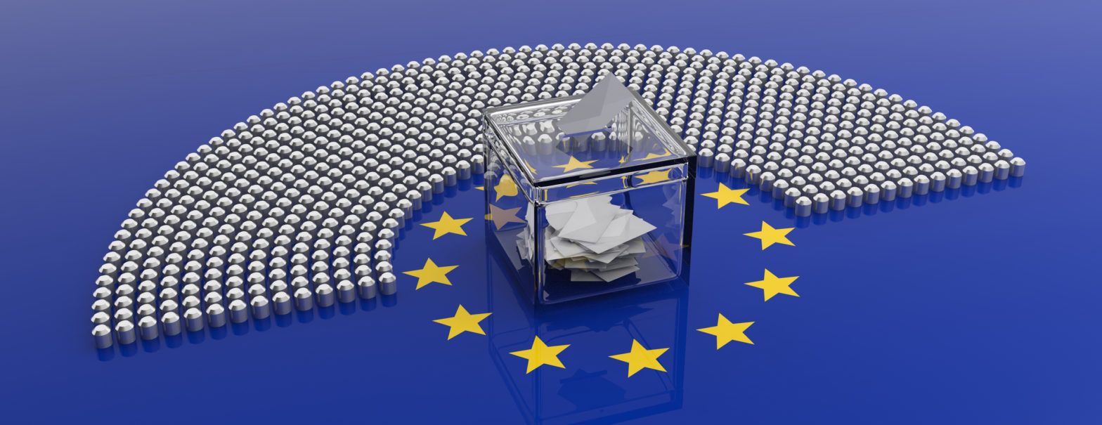 What do European parliament poll results mean for investors?