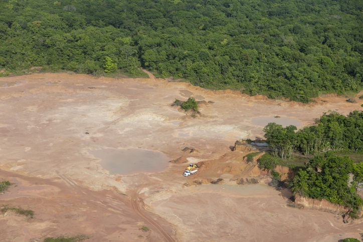 EXCLUSIVE: BlackRock ESG funds worst for ‘deforestation risk’