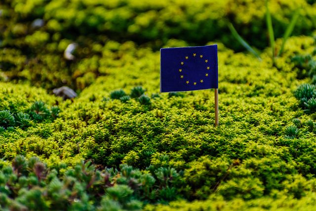 How could the EU recovery plan spur the green bond market?