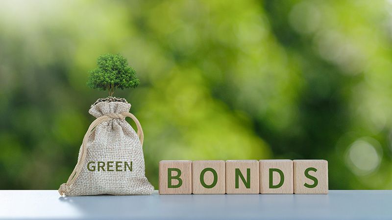 Green bonds and ESG investments concept. Fundraising to use money for environmentally friendly projects or promote environmental conservation